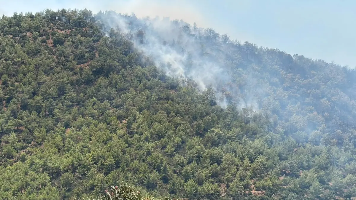 Muğla ve Alanya dan sonra Mersin! 80 ev tahliye edildi 3
