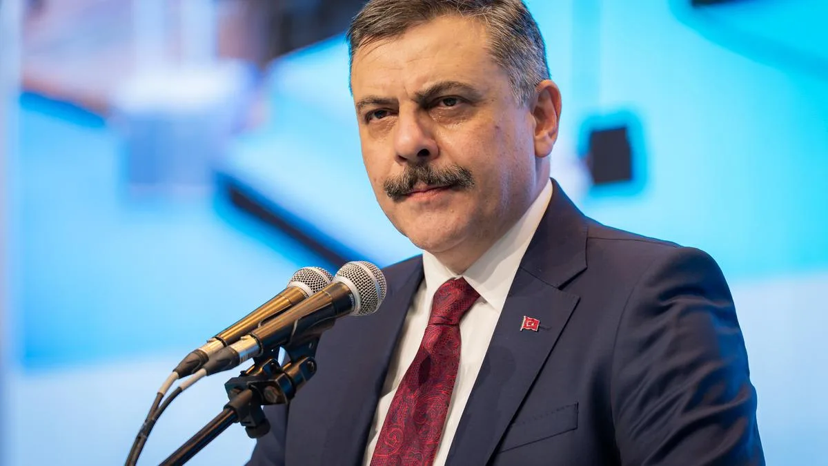 Türkiye-Gürcistan İşbirliği Suçlulara Göz Açtırmıyor