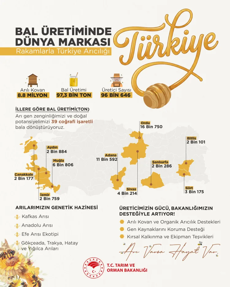 Türkiye’nin 39 Coğrafi İşaretli Balı ve Arılar