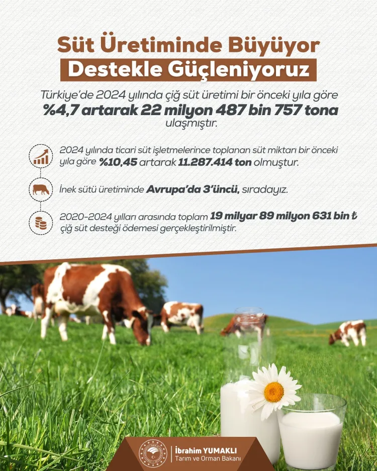 Türkiye Süt Üretiminde Yeni Rekor: %4,7 Artış!