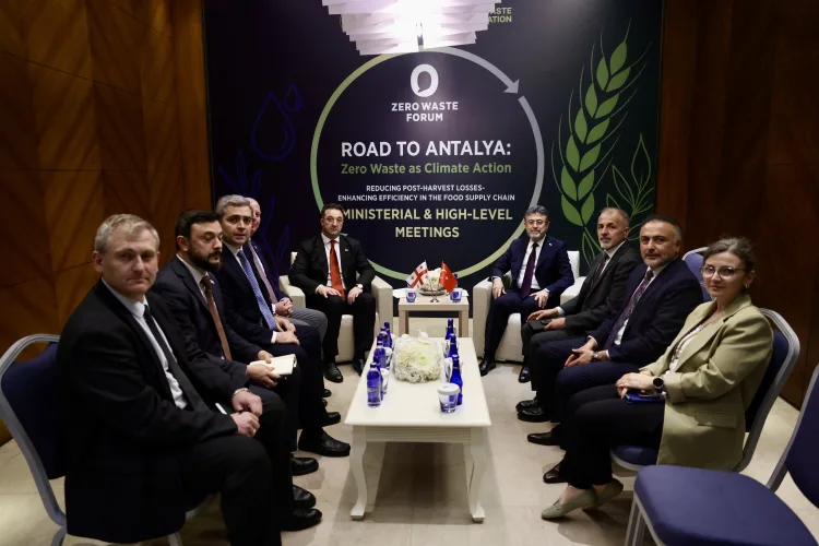 Türkiye ve Gürcistan’dan Ormancılık Anlaşması!