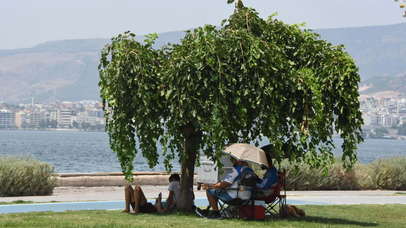 Türkiye Yazında Sıcaklık Rekoru Tehlikesi!