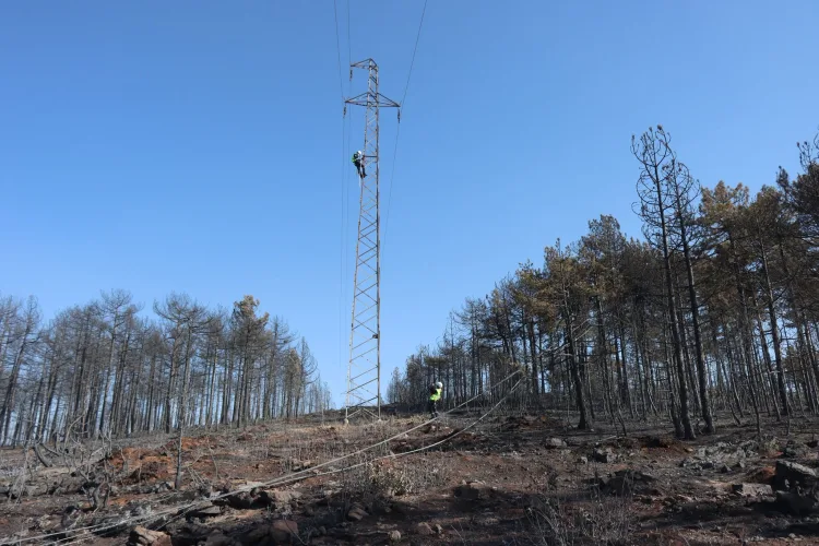 UEDAŞ, Orman Yangınlarında Enerji Yönetimi Sağlıyor