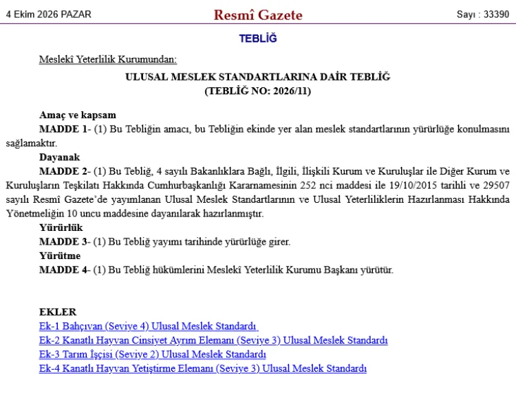 Ulusal Meslek Standartları Yürürlüğe Girdi!