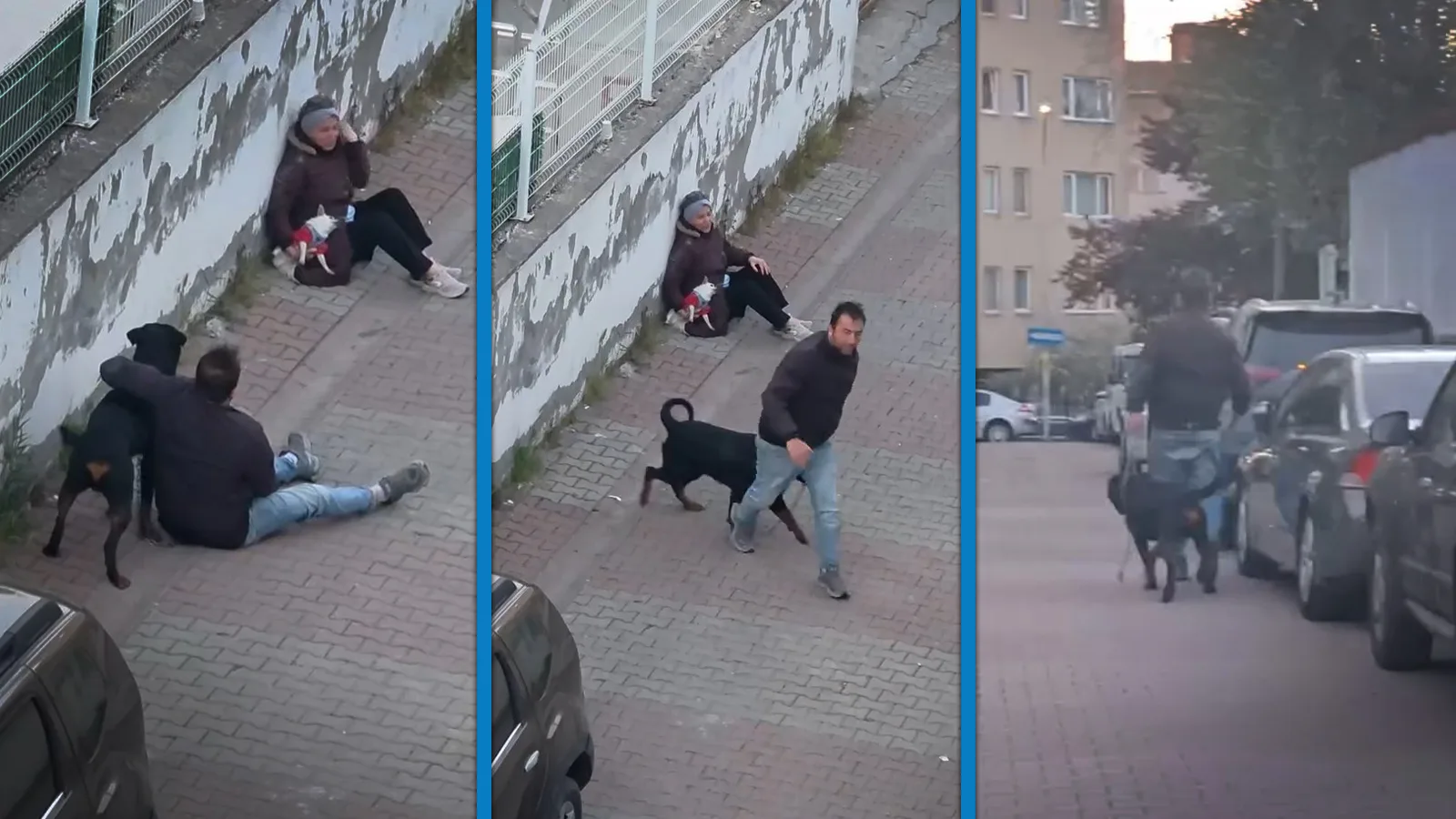 Ümraniye’de Rottweiler Saldırısı: Korku Dolu Anlar