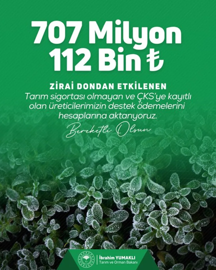 Üreticilere 707 Milyon TL Destek Ödemesi!
