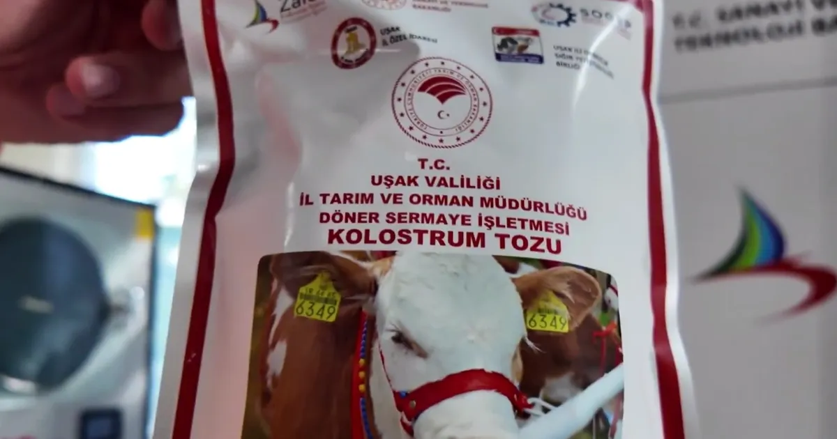 Uşak’ta Hayvancılıkta Çığır Açan Yenilik!