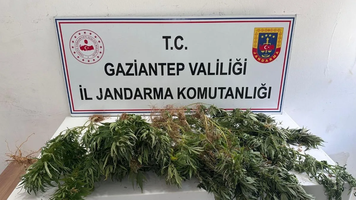 Uyuşturucu Operasyonu: 8 Şüpheliye Gözaltı