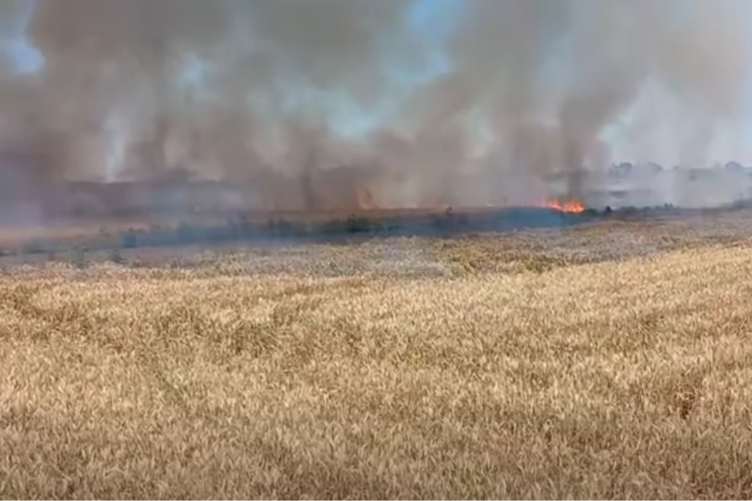 Uzunköprü’de Buğday Tarlası Yangını Korkuttu!