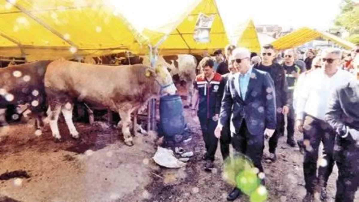 Vali Gül’den Esnaf Ziyareti ve Kurban Pazarı Turu