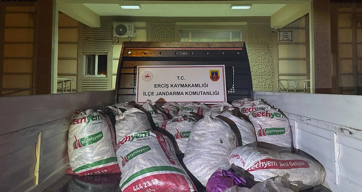 Van Gölü’nde Kaçak İnci Kefali Avına Darbe!