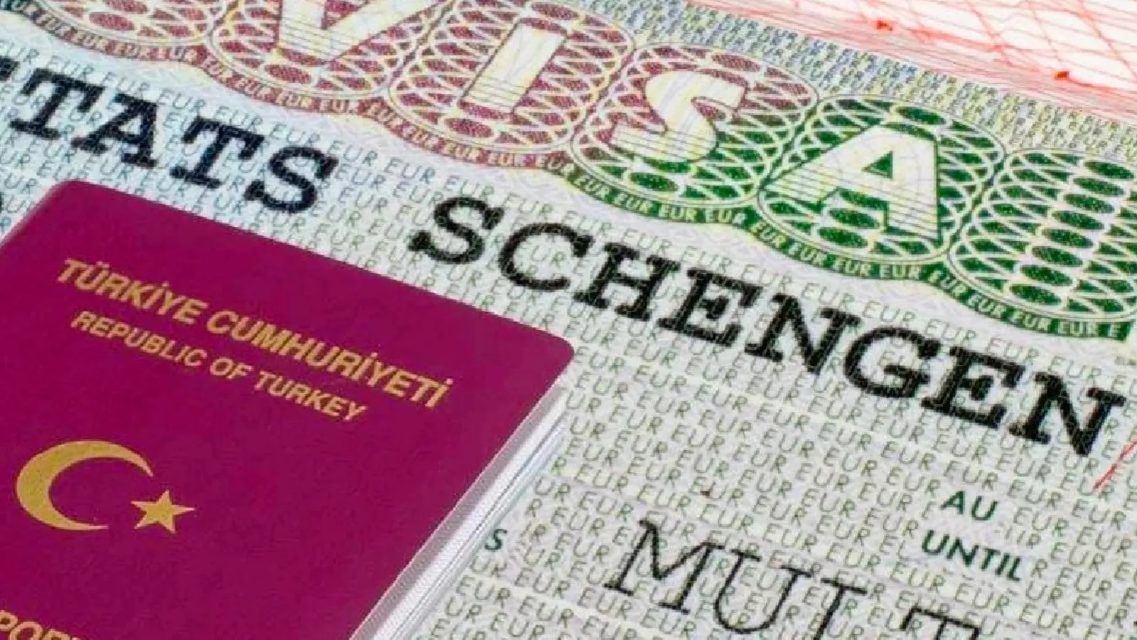 Vize Sorununa Çözüm İsteyen Bilici: Haysiyet Meselesi