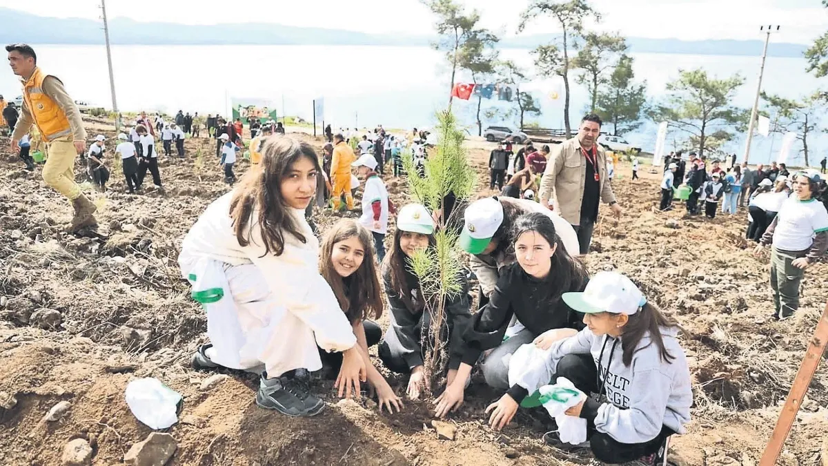Yangın İzleri Siliniyor: Yeniden Doğuş Süreci!