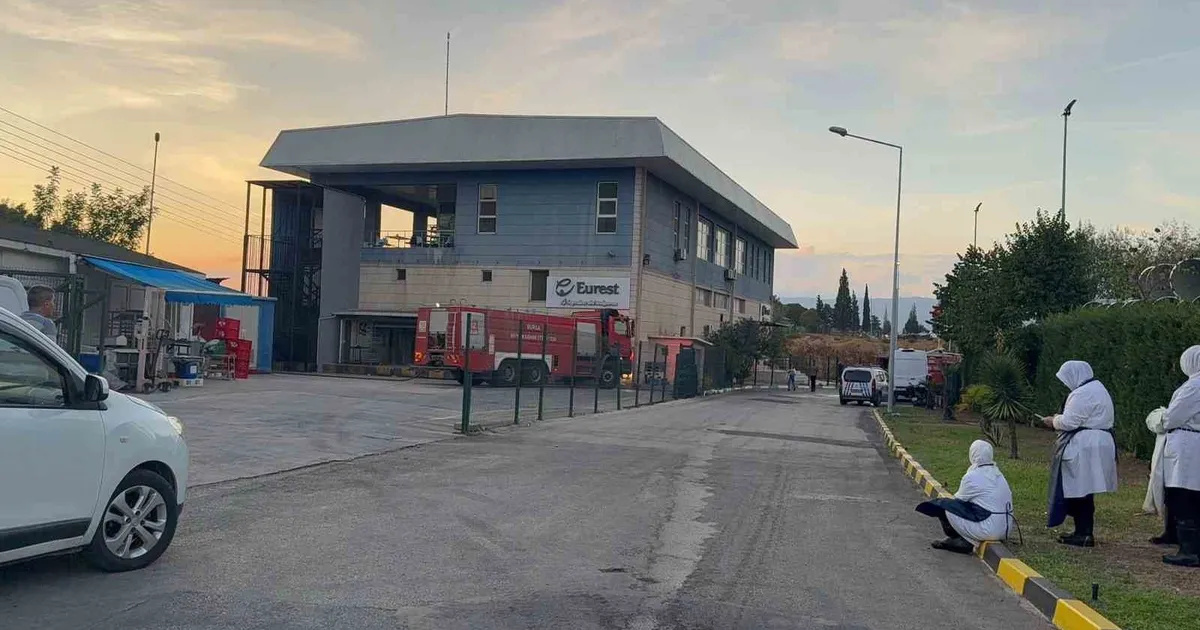 Yangın Korkusu: Hızlı Müdahale Can Kayıbını Önledi