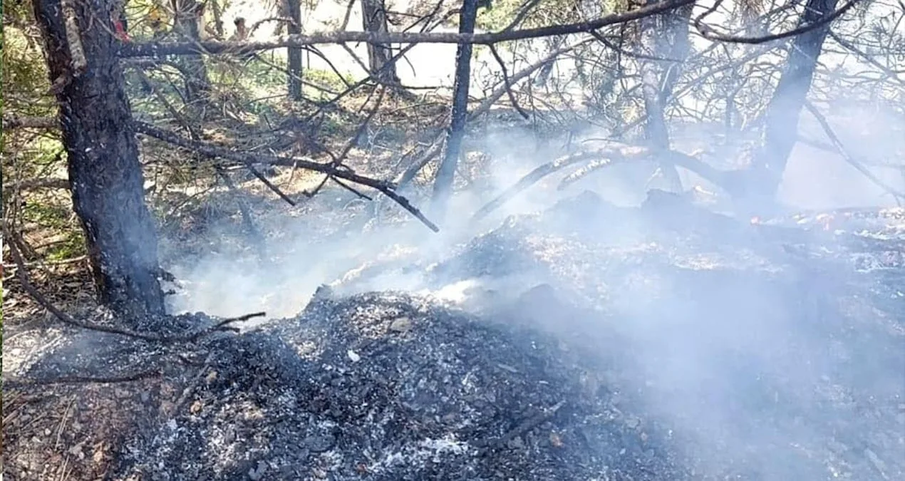 Yangın Korkusu: Mudurnu’da Orman Yangını Kontrol Altında
