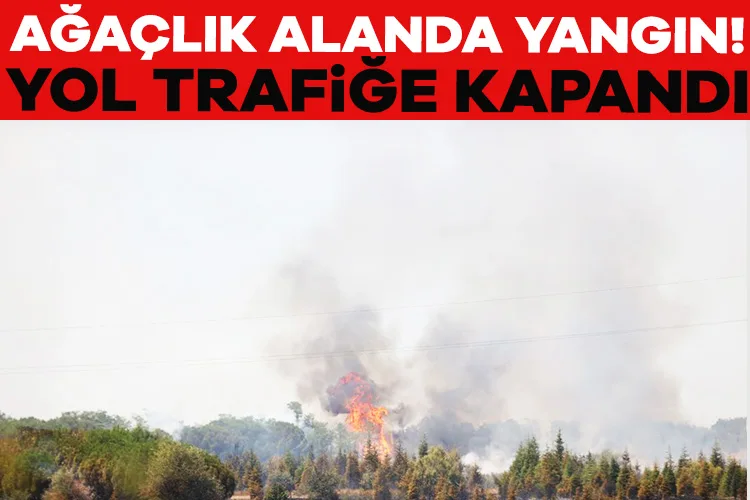 Yangın Korkuttu: Avrupa Otoyolu Trafiğe Kapandı!