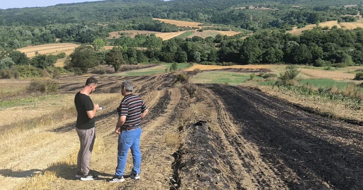 Yangın Mağdurlarına Kocaeli’den Tohum Desteği