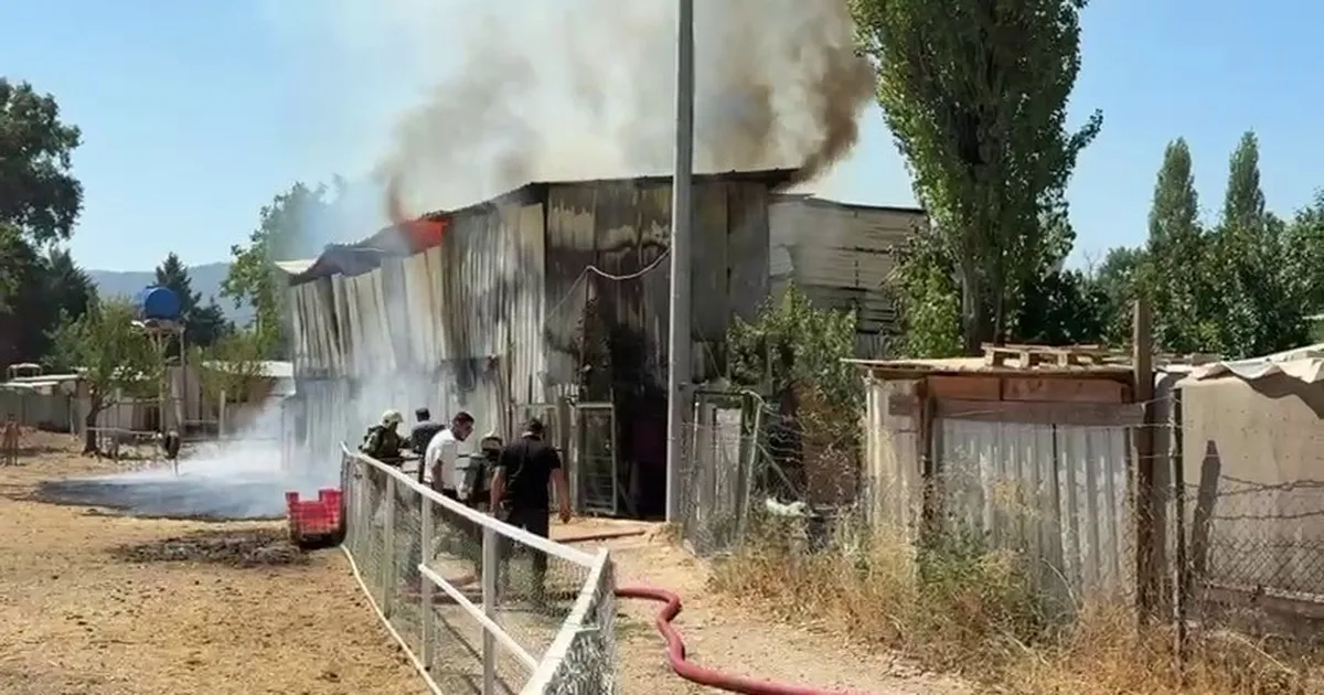 Yangında 1 At ve 2 Keçi Hayatını Kaybetti