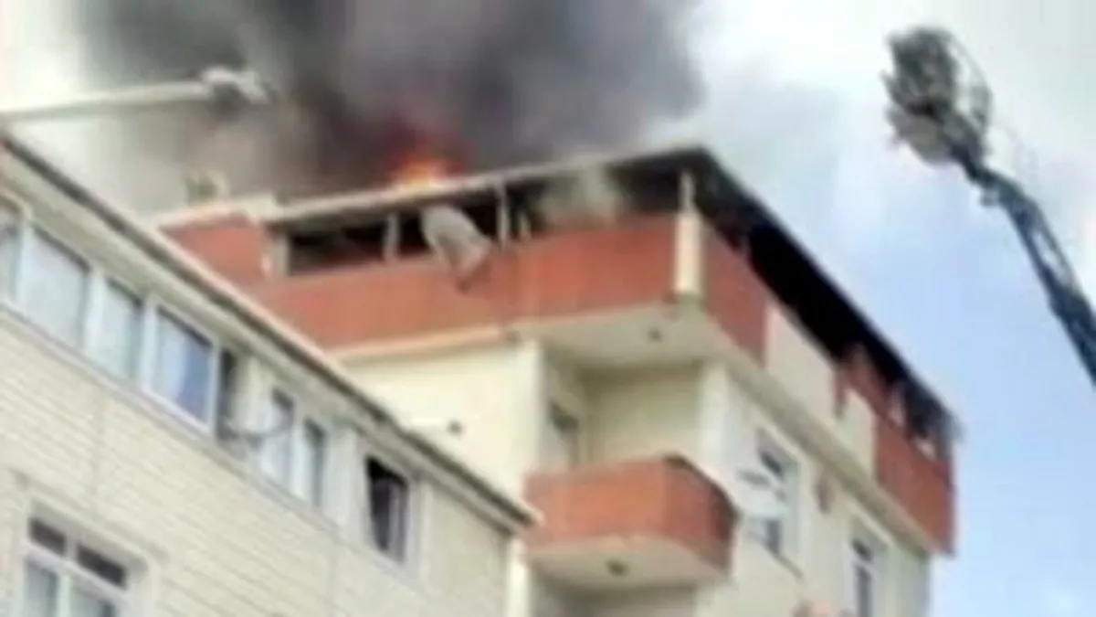 Yangında 10 Kedi Hayatını Kaybetti, Sahibi Gözyaşında