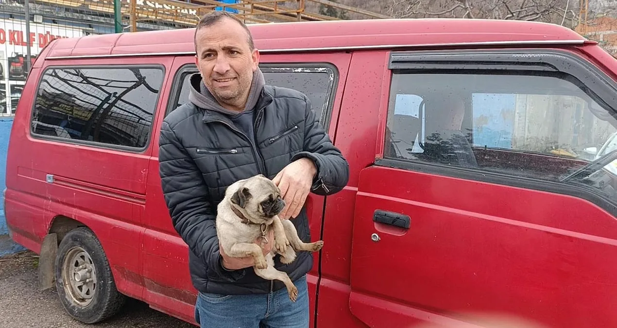 Yangında Yavru Köpek Kurtarıldı, Korku Dolu Anlar!