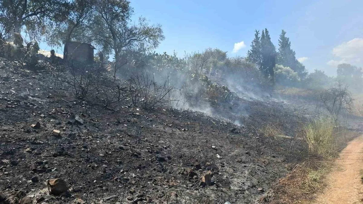 Yanköy’de Yangın: Ekipler Hızla Müdahale Etti