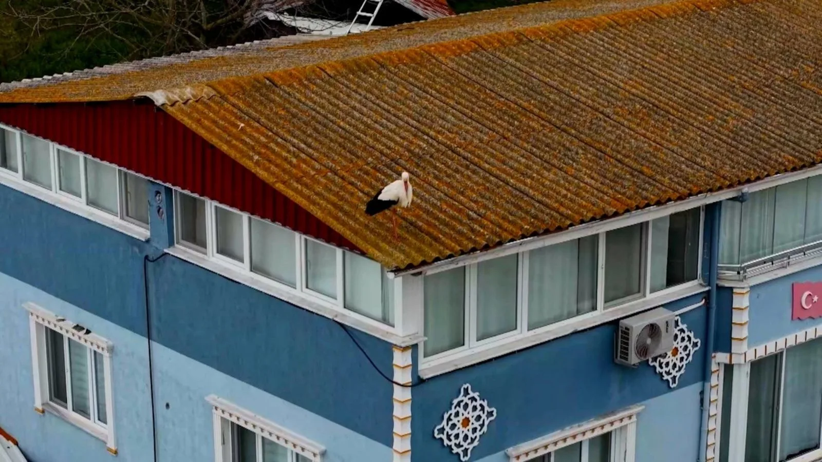 Yaren’in Eşi Nazlı, 20 Gün Erken Geldi!
