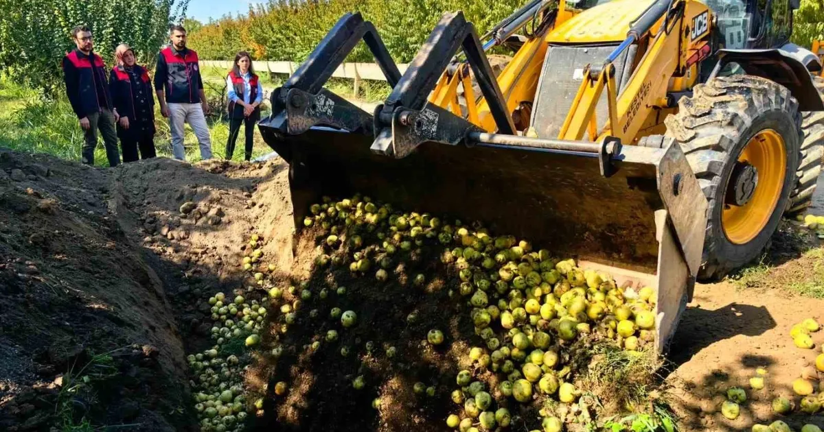 Yasaklı Zirai İlaçlar: 40 Ton Armut İmha Edildi