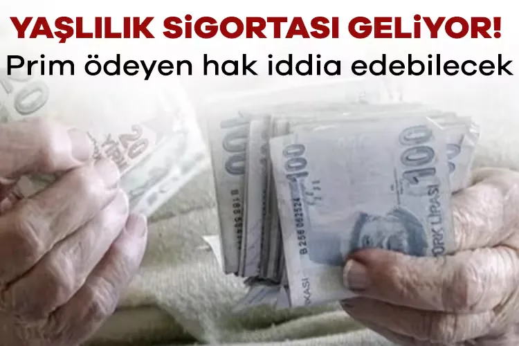 Yaşlılık Tsunamisi: Devlet Tek Başa Yetmeyecek!
