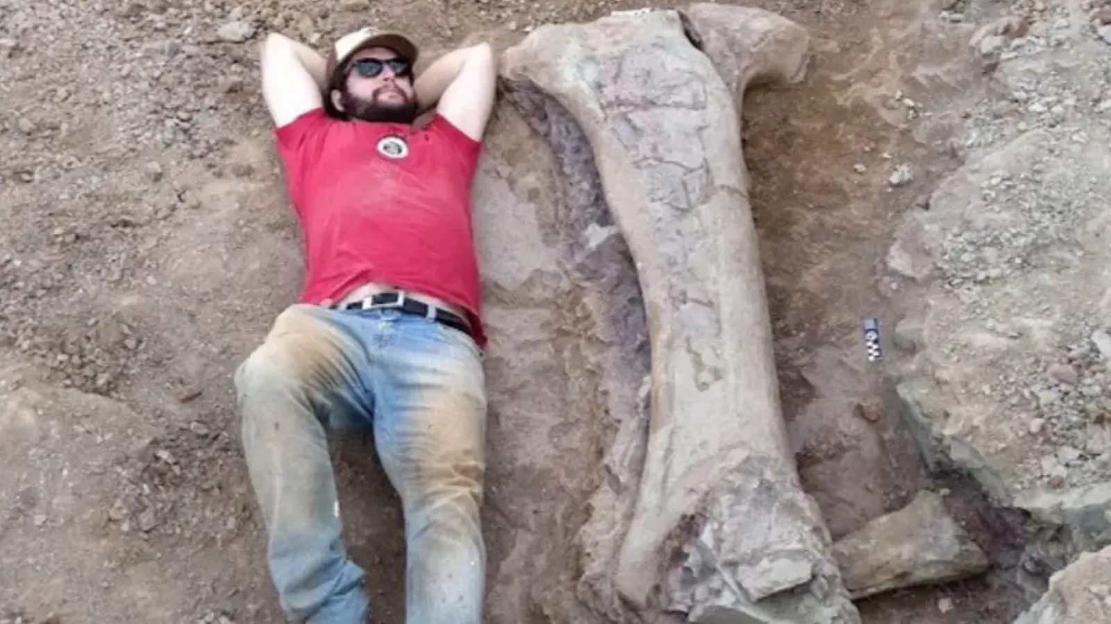 Yeni Dev Dinozor: Dasosaurus tocantinensis Keşfedildi!