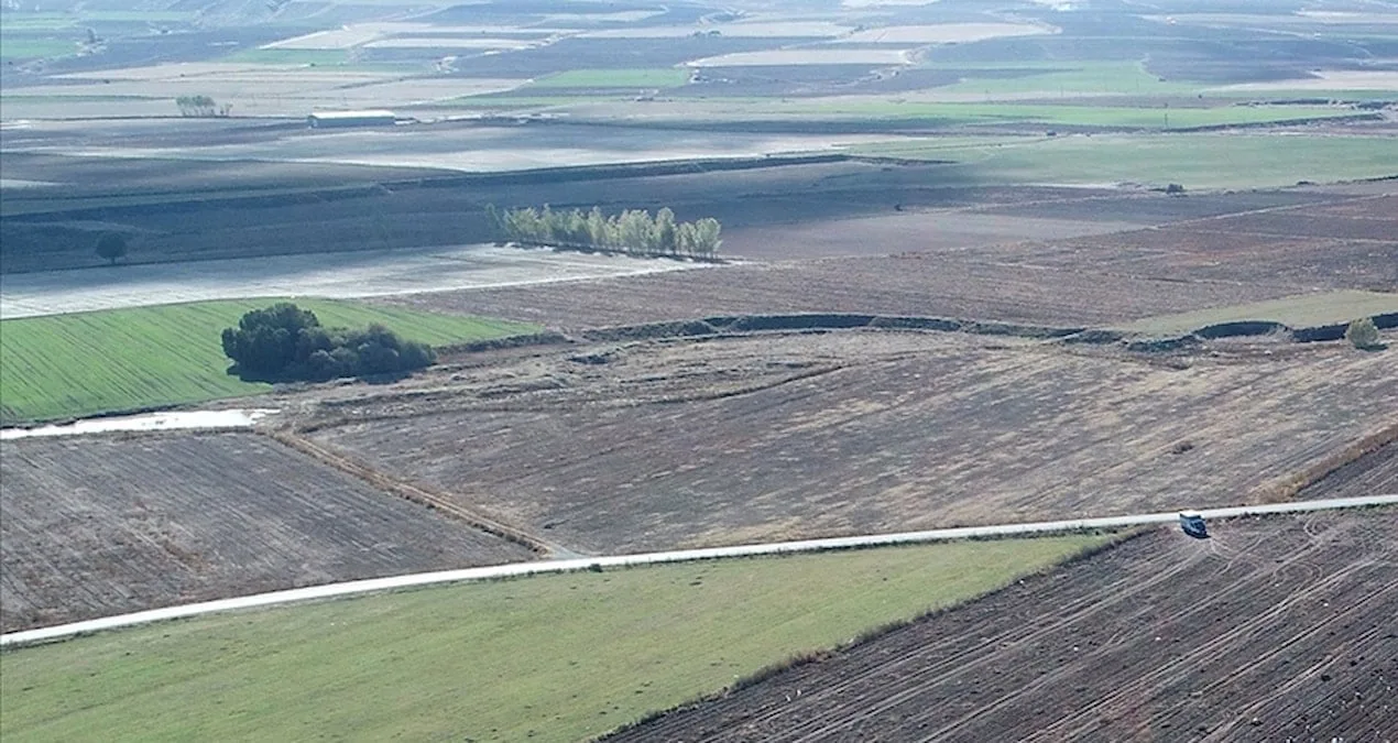 Yeni Orman Yönetmeliği Resmi Gazete’de Yayımlandı