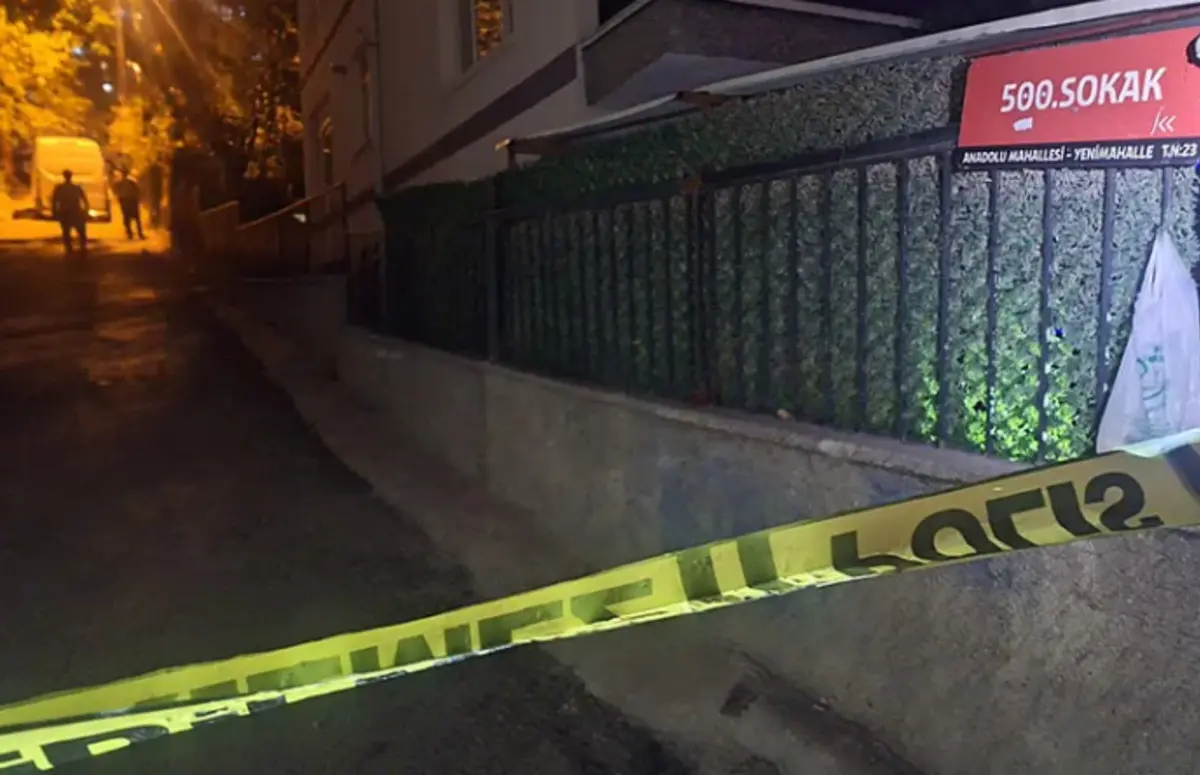 İkisi kardeş 3 kişinin cansız bedeni bulunmuştu! Başka binada bir ölü daha... 3
