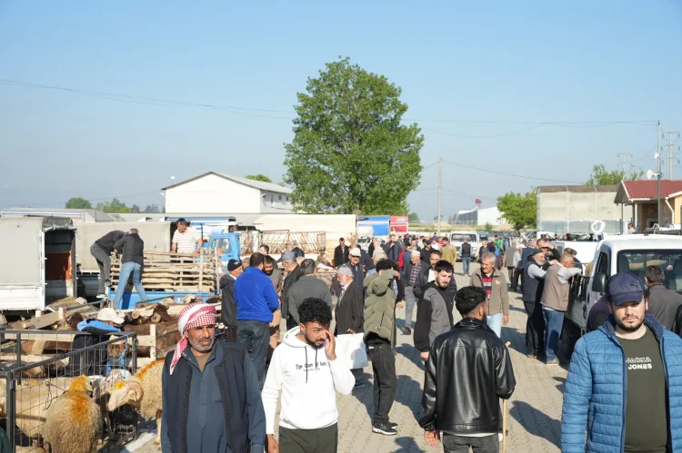 Yenişehir’de Kurban Bayramı Hazırlıkları Tamam!