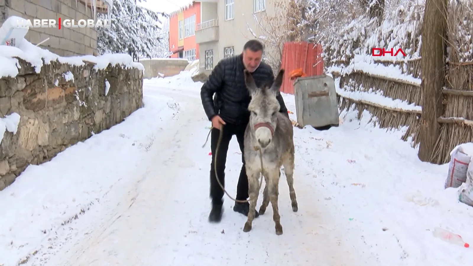 Yerel Sanatçı, Terk Edilen Hayvanlara Şefkat Gösteriyor
