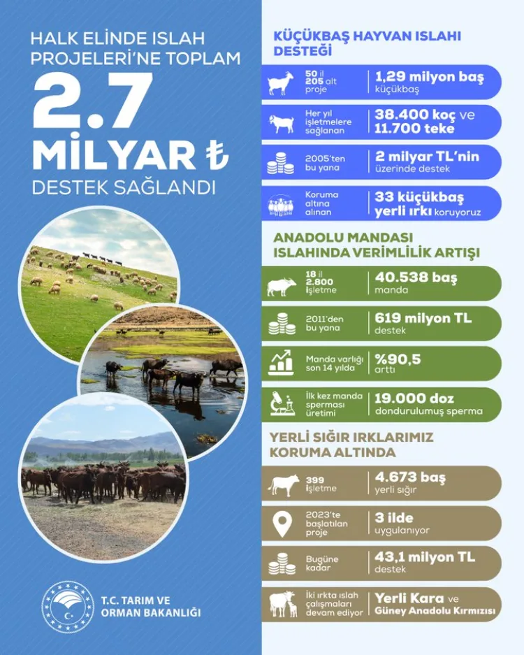 Yerli Irkların Korunması İçin 2,7 Milyar TL Destek