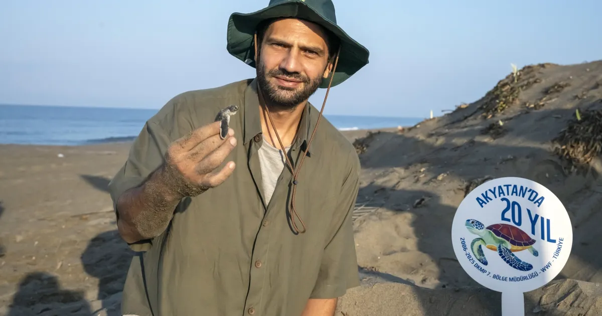 Yeşil Deniz Kaplumbağaları İçin 20 Yıl Kutlandı!