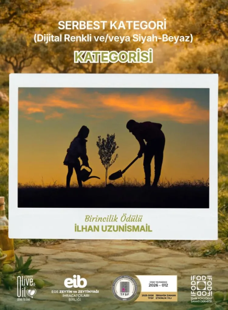 Yeşilin Altın Damlası: Zeytin Fotoğraf Yarışması