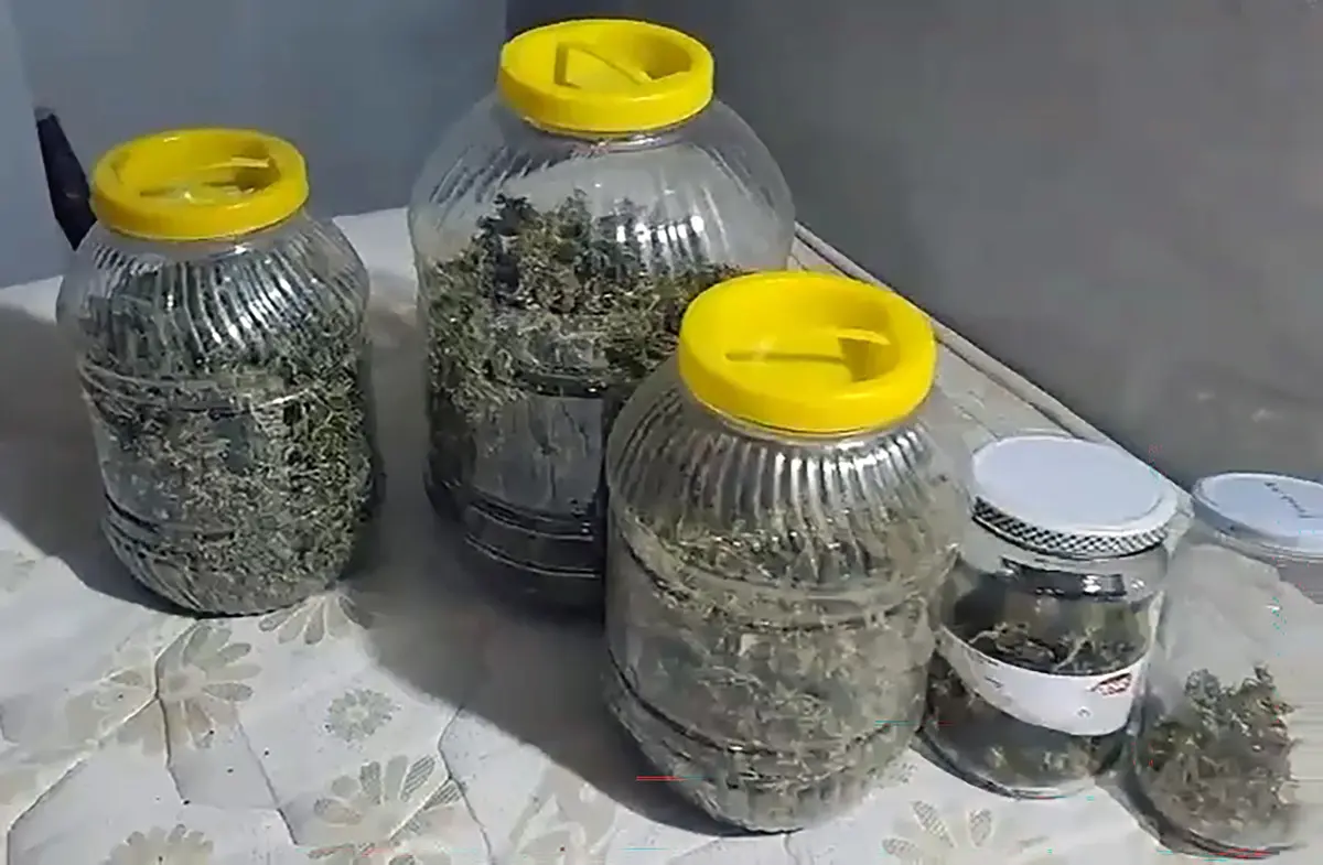 Yıkamacılar'a operasyon! Elebaşı dahil 73 şüpheli tutuklandı 3