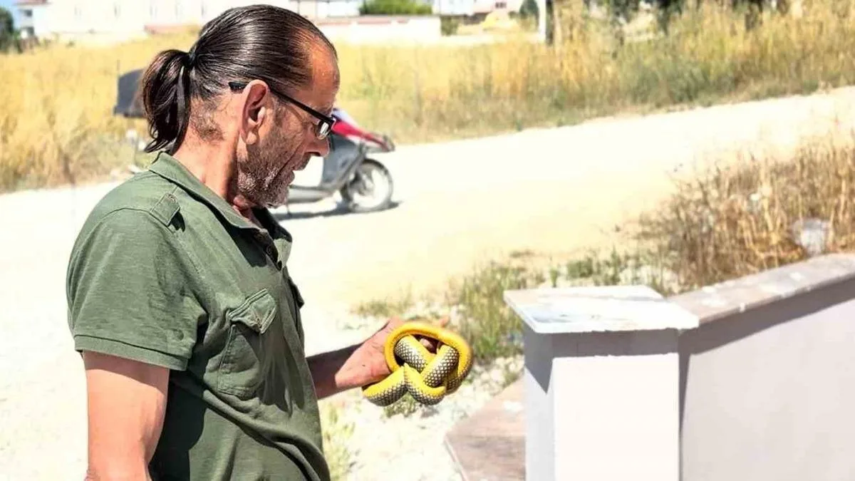Yılanları Çıplak Elle Yakalayan Kahraman