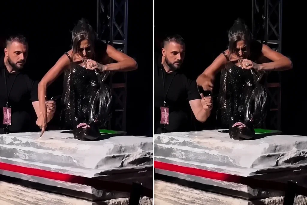 Yıldız Tilbe Konserinde Dikkat Çeken Anlar: Güvenlik Görevlisini İtti