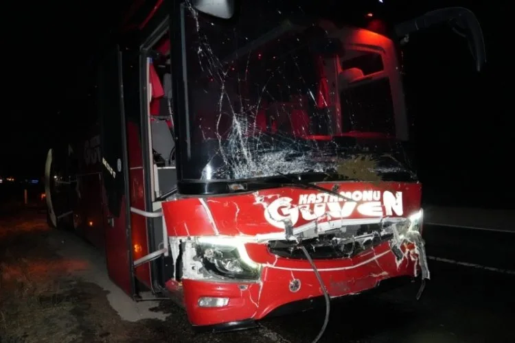 Yolda Çıkan Hayvanlara Otobüs ve Cip Çarptı!