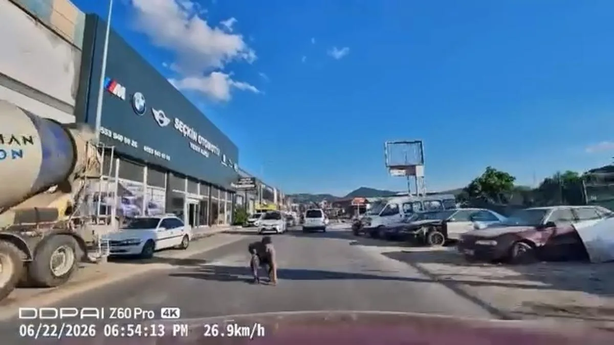 Yolda Eğilen Adamın Son Anda Kurtuluş Anı!