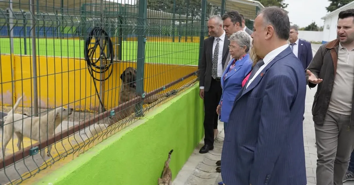 Yontar’dan Çorlu’da Hayvan Bakım Evi Ziyareti