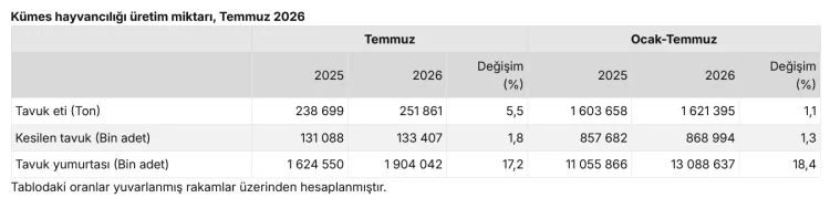 Yumurta ve Tavuk Eti Üretiminde Rekor Artış!