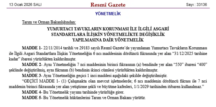 Yumurtacı Tavuklar İçin Yeni Standartlar Yolda!