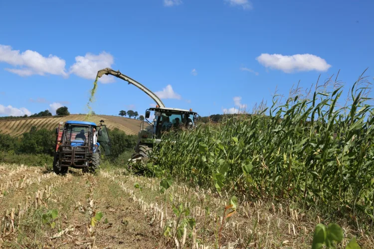 Yüzde 75 Hibe ile Kocaeli Tarlaları Bereketlendi