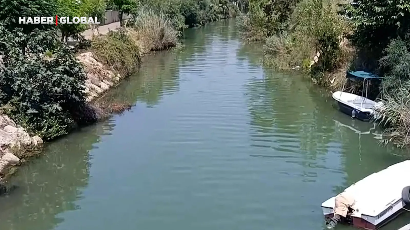 Yüzenler Dikkat! Nil Kaplumbağası Tehlikesi