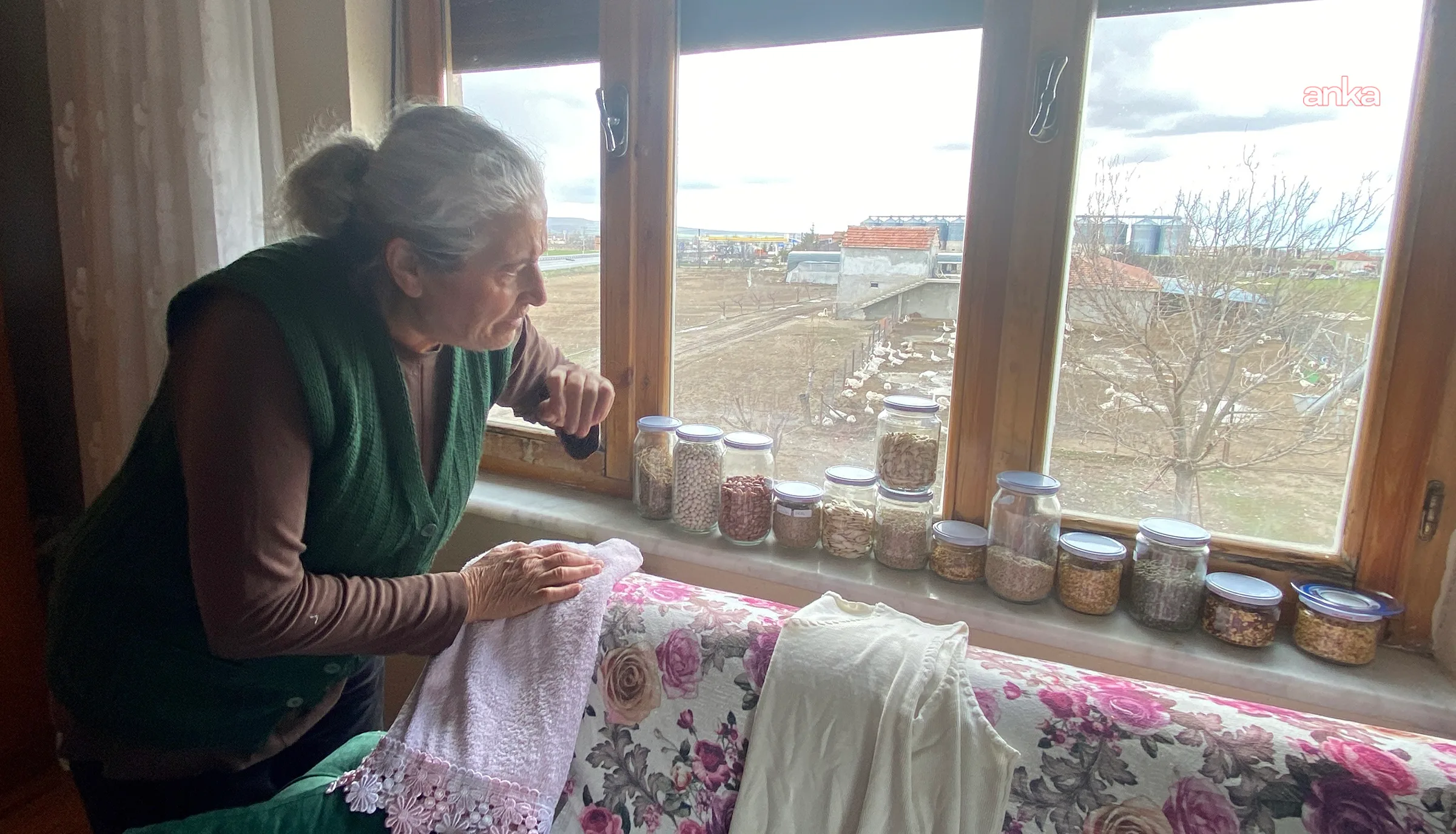 Zehra Altıntaş’ın 20 Yıllık Tohum Bankası