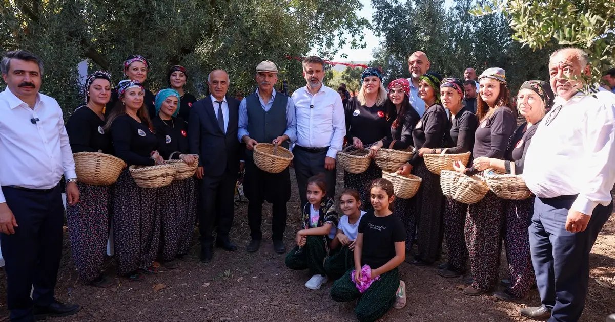 Zeytin Hasadı Festivali Coşkuyla Gerçekleşti!