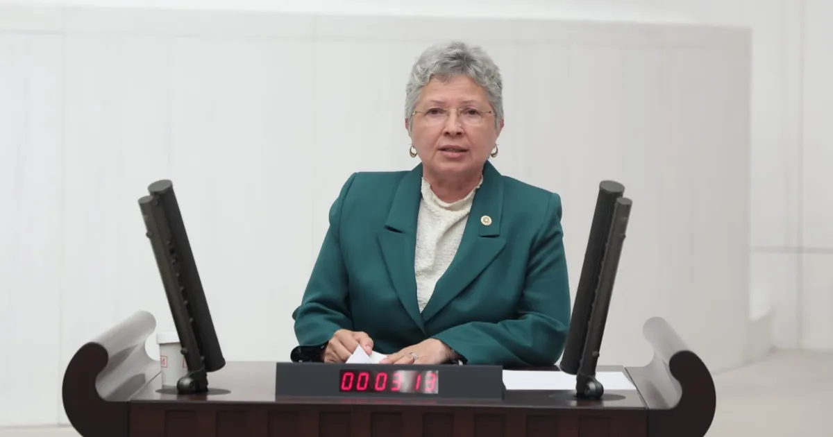 Zeytinliklere Sahip Çıkalım, Geleceğimizi Koruyalım!