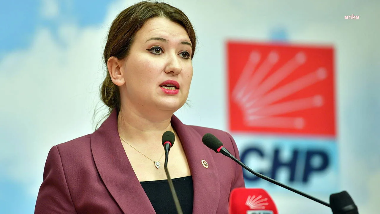 Zita Gurmai, İstanbul Sözleşmesi’ne Veda Etti